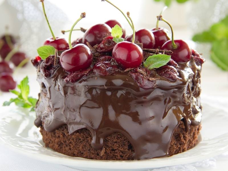 a decadent chocolate cake for world chocolate day